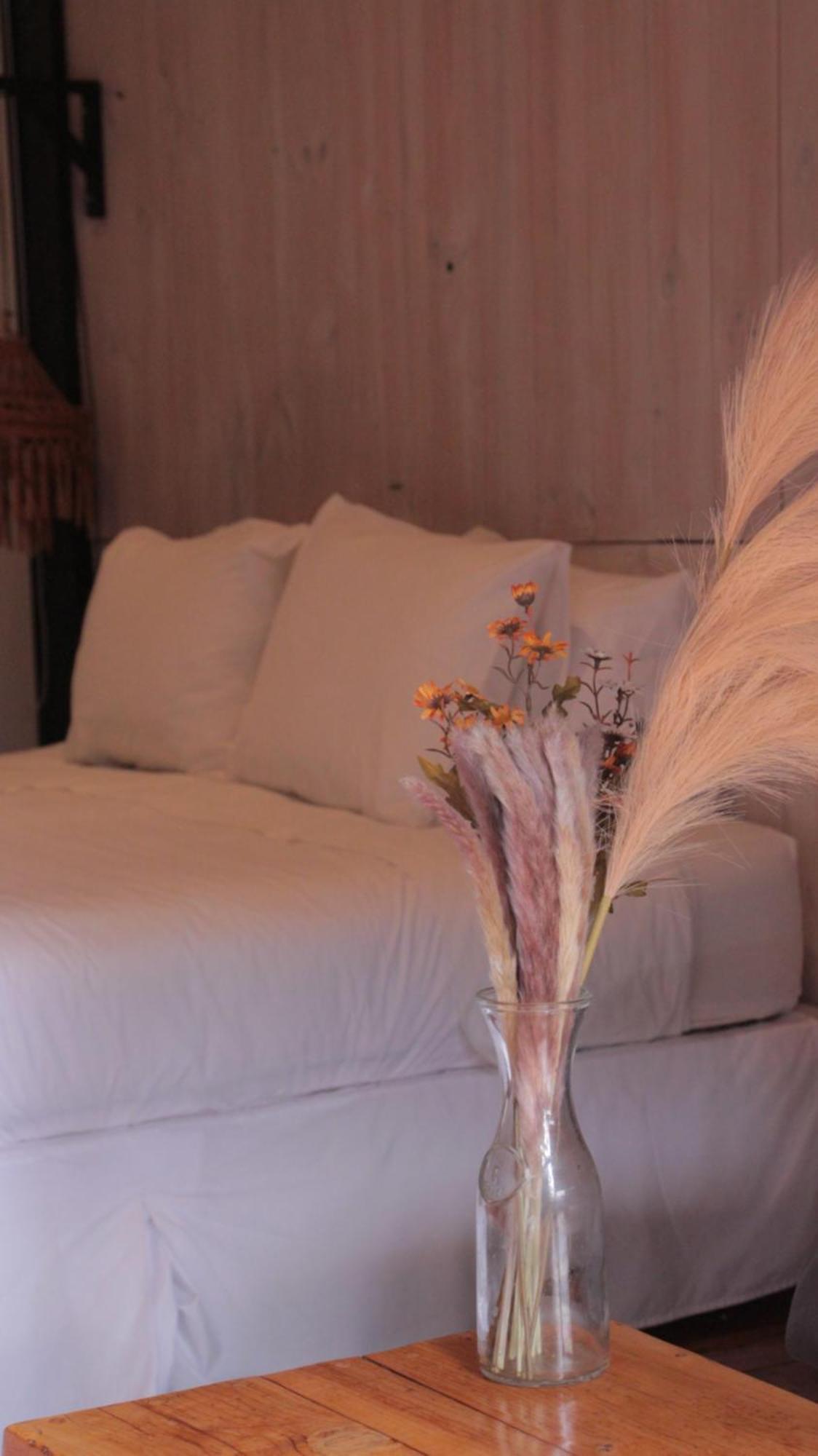 Surf Lodge Punta De Lobos 피칠레무 외부 사진